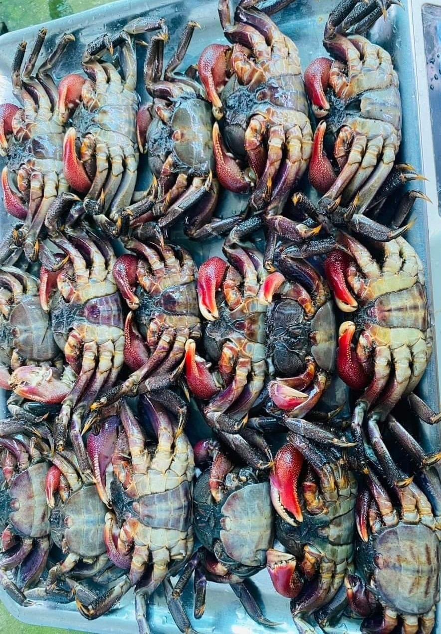 Tin nổi bật Image