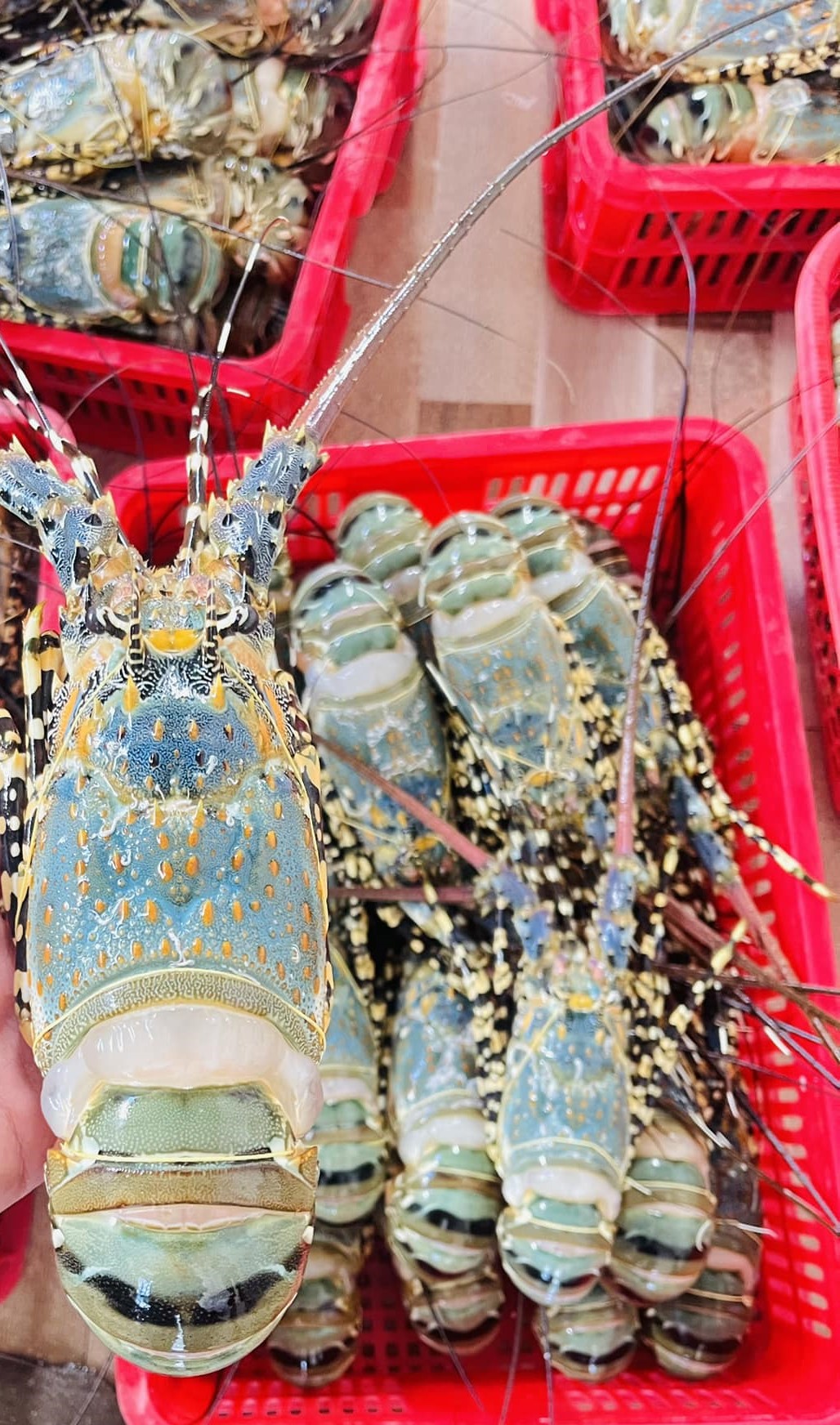 Tin nổi bật Image