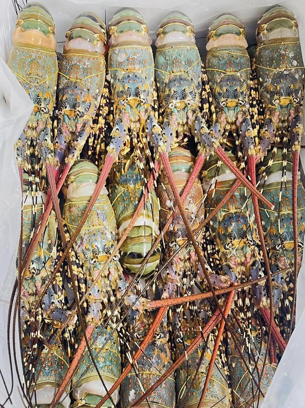 Tin nổi bật Image