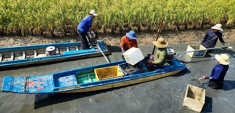 Tin nổi bật Image